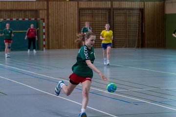 Bild 223 - A-Juniorinnen HSG Kremperheide/M�nsterdorf - Wellingdorfer TV - Ergebnis: 18:30